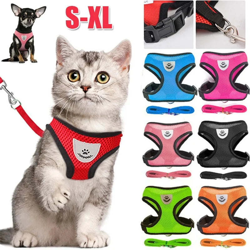 Adjustable Breathable Collar for Small Dogs and Cats